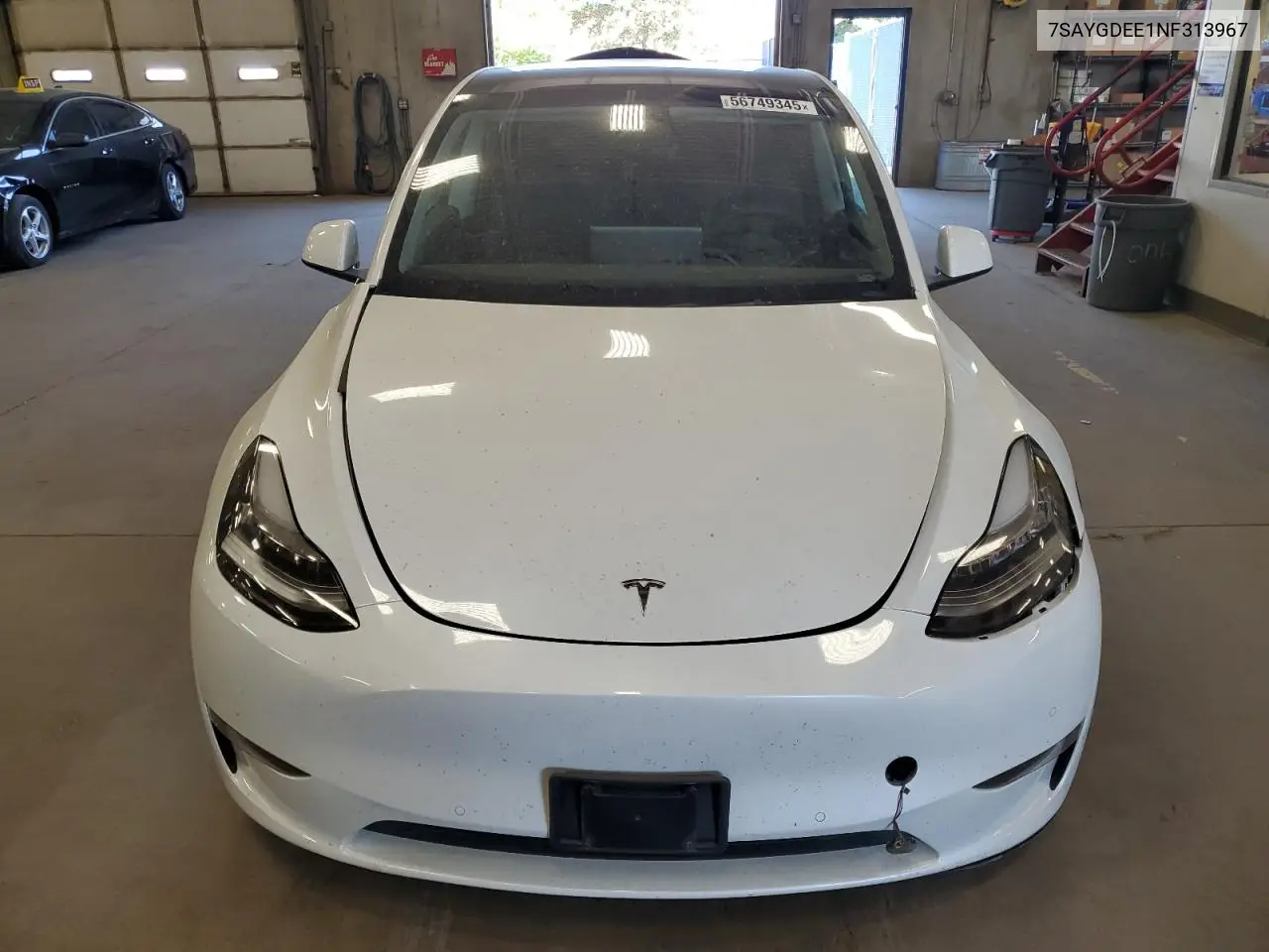 2022 Tesla Model Y VIN: 7SAYGDEE1NF313967 Lot: 56749345