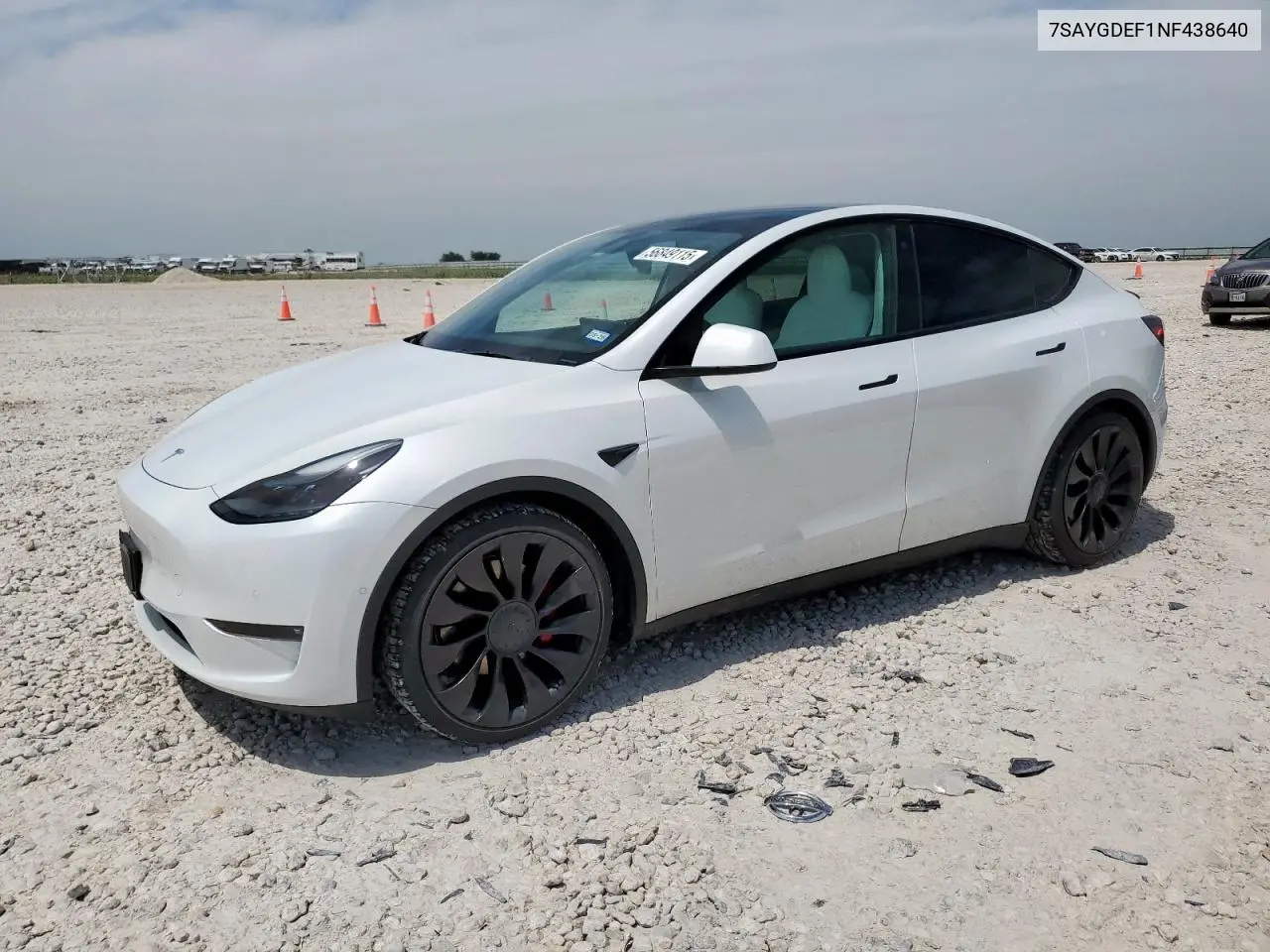 2022 Tesla Model Y VIN: 7SAYGDEF1NF438640 Lot: 56849115
