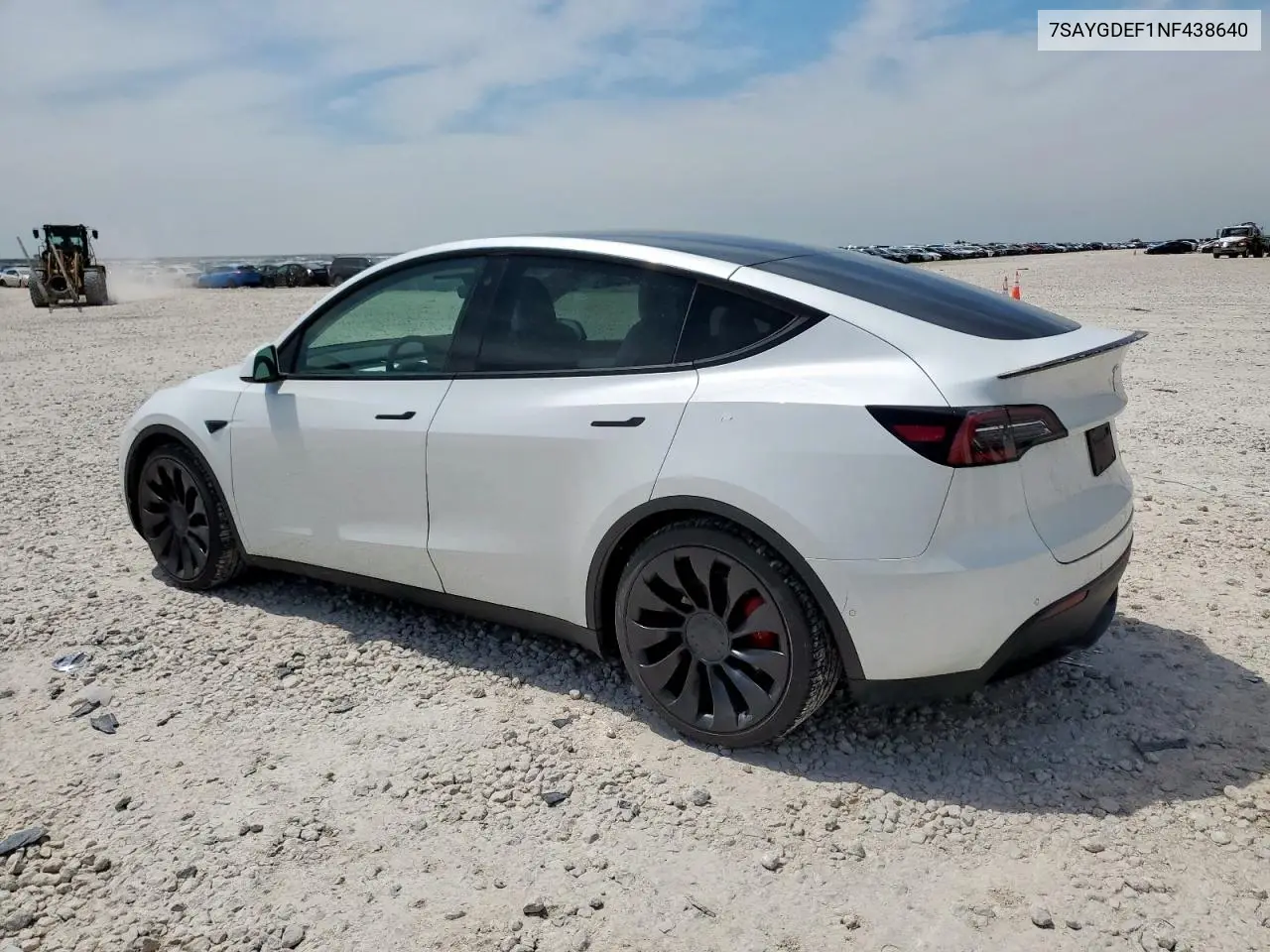2022 Tesla Model Y VIN: 7SAYGDEF1NF438640 Lot: 56849115