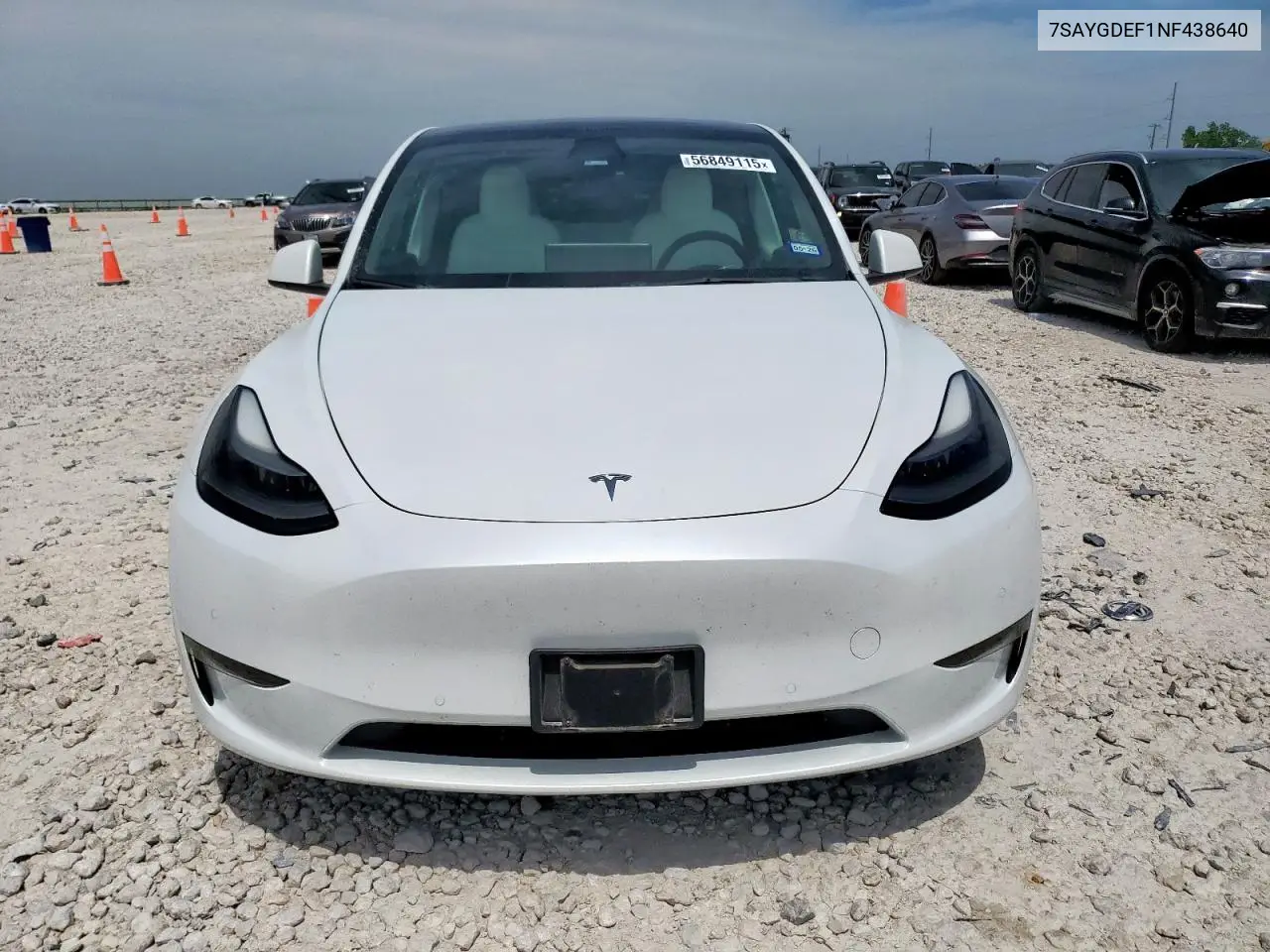 2022 Tesla Model Y VIN: 7SAYGDEF1NF438640 Lot: 56849115