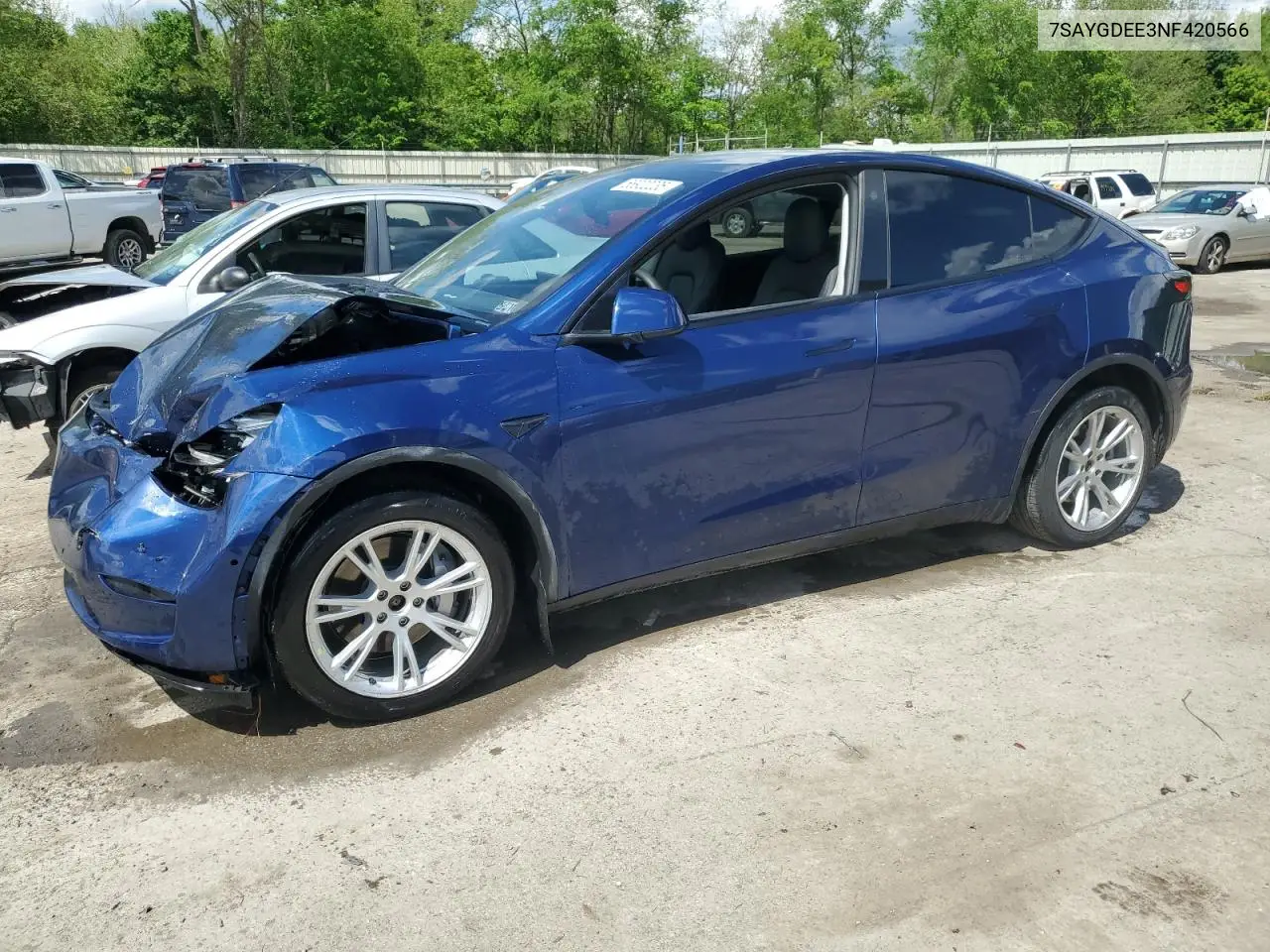 2022 Tesla Model Y VIN: 7SAYGDEE3NF420566 Lot: 56922235