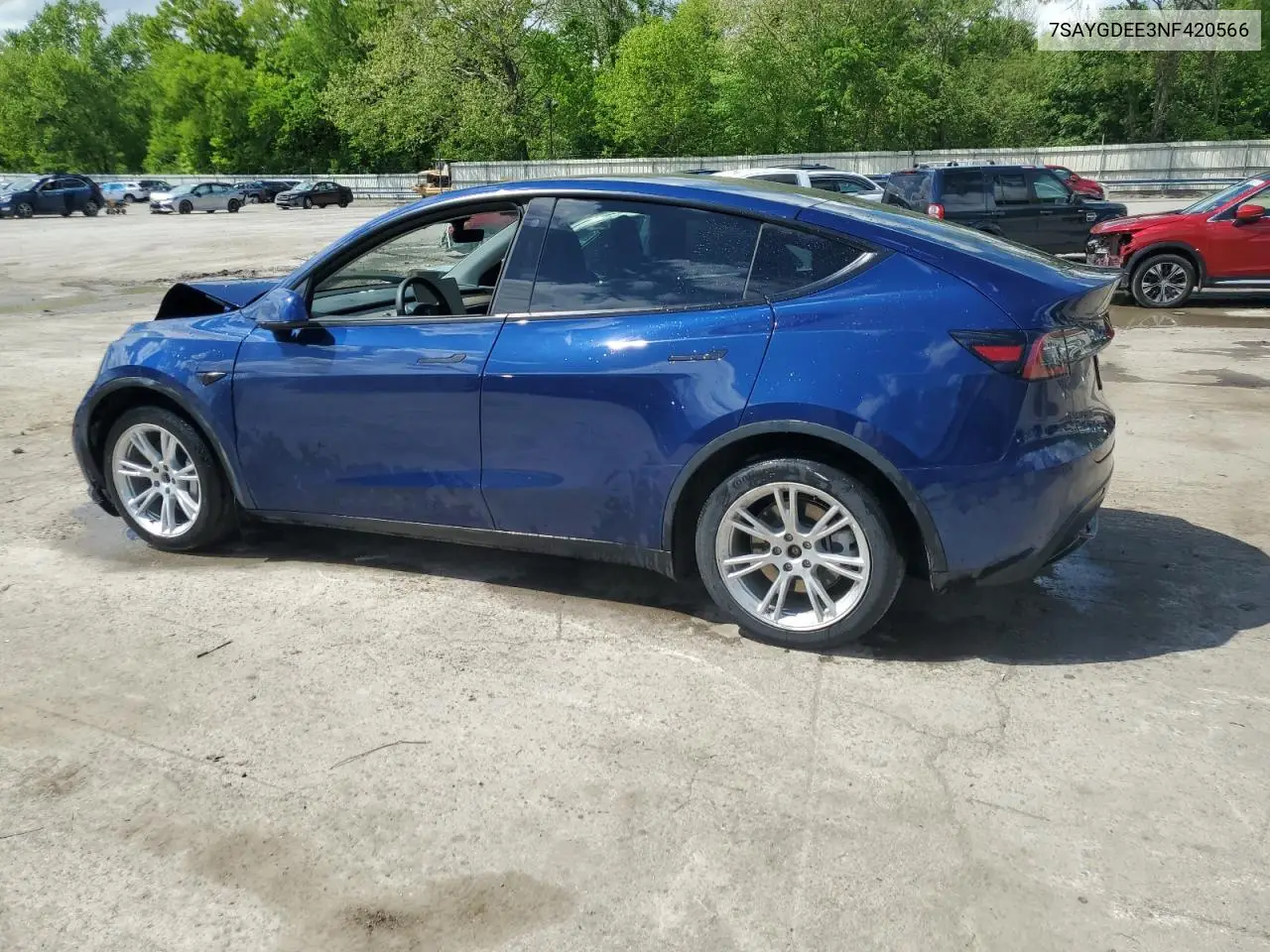 2022 Tesla Model Y VIN: 7SAYGDEE3NF420566 Lot: 56922235