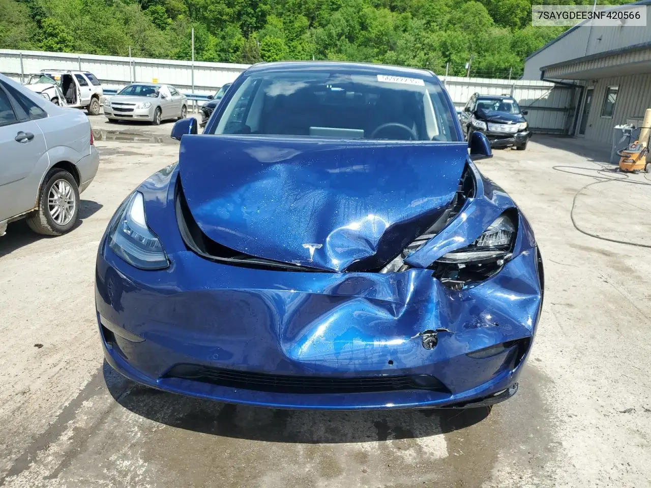 2022 Tesla Model Y VIN: 7SAYGDEE3NF420566 Lot: 56922235