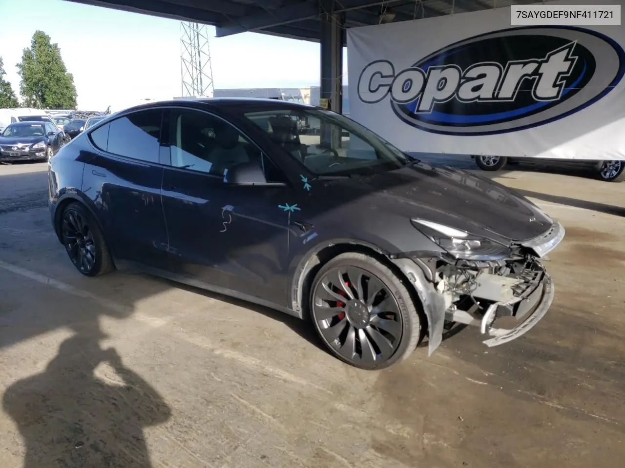2022 Tesla Model Y VIN: 7SAYGDEF9NF411721 Lot: 56961145