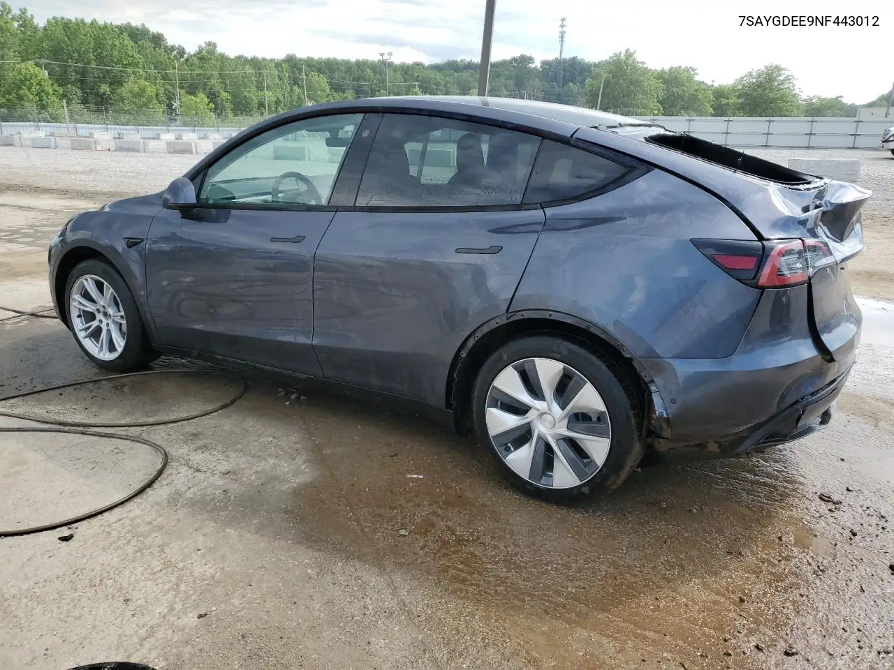 2022 Tesla Model Y VIN: 7SAYGDEE9NF443012 Lot: 58418435