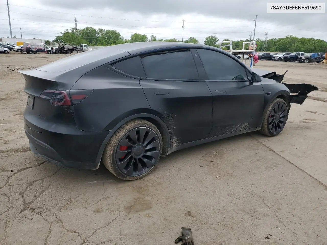 2022 Tesla Model Y VIN: 7SAYGDEF5NF519690 Lot: 58539855