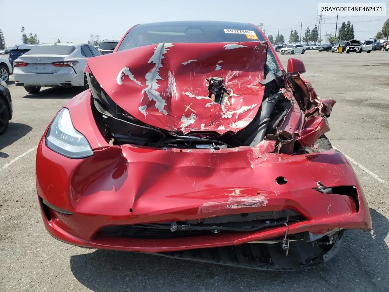 2022 Tesla Model Y VIN: 7SAYGDEE4NF462471 Lot: 60322945