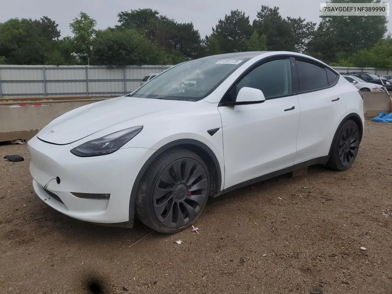 2022 Tesla Model Y VIN: 7SAYGDEF1NF389990 Lot: 61351175