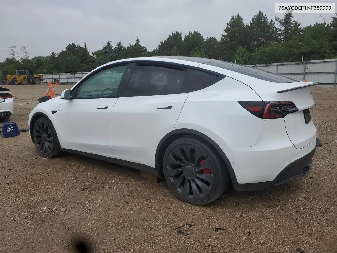 2022 Tesla Model Y VIN: 7SAYGDEF1NF389990 Lot: 61351175