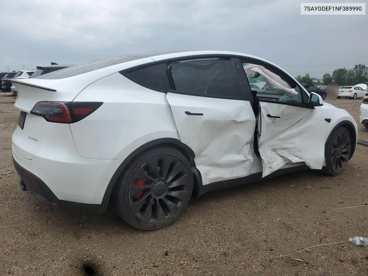 2022 Tesla Model Y VIN: 7SAYGDEF1NF389990 Lot: 61351175