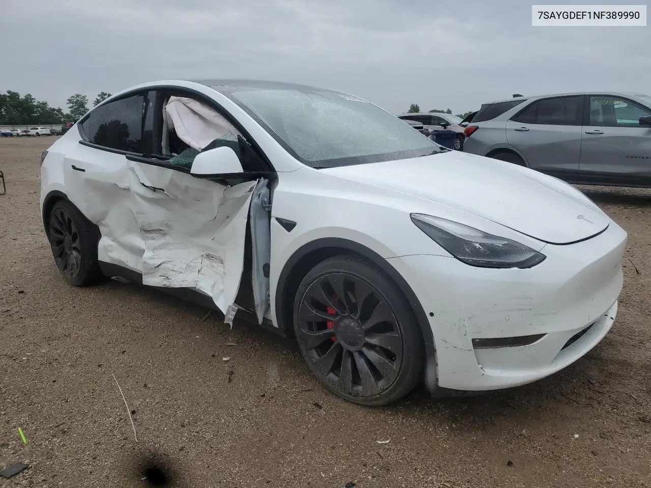 2022 Tesla Model Y VIN: 7SAYGDEF1NF389990 Lot: 61351175