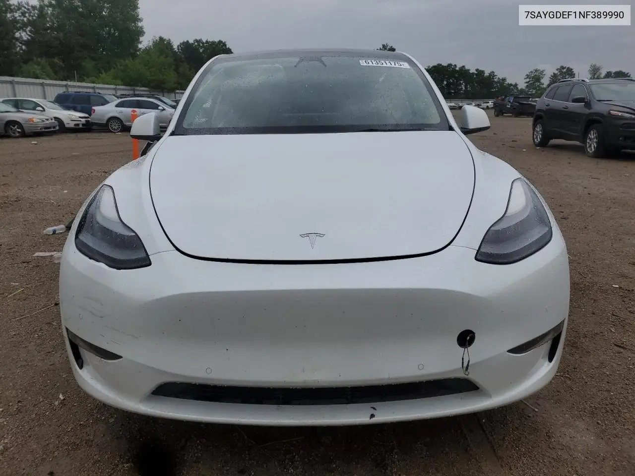 2022 Tesla Model Y VIN: 7SAYGDEF1NF389990 Lot: 61351175