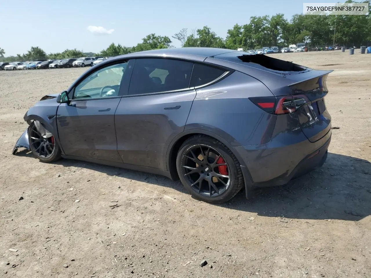 2022 Tesla Model Y VIN: 7SAYGDEF9NF387727 Lot: 61992705