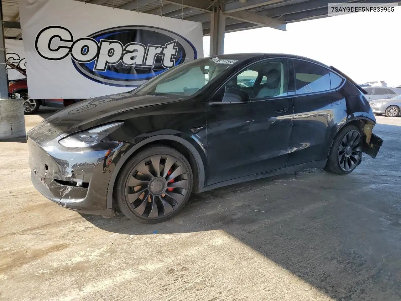 2022 Tesla Model Y VIN: 7SAYGDEF5NF339965 Lot: 62187545