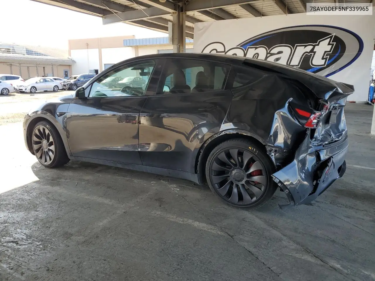 2022 Tesla Model Y VIN: 7SAYGDEF5NF339965 Lot: 62187545