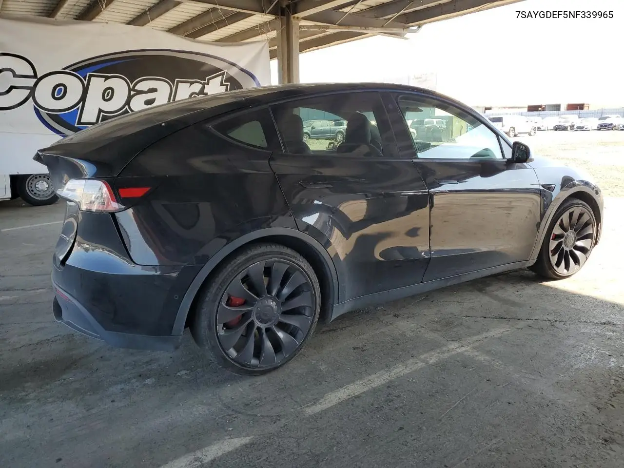 2022 Tesla Model Y VIN: 7SAYGDEF5NF339965 Lot: 62187545