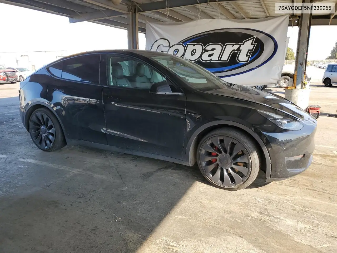 2022 Tesla Model Y VIN: 7SAYGDEF5NF339965 Lot: 62187545