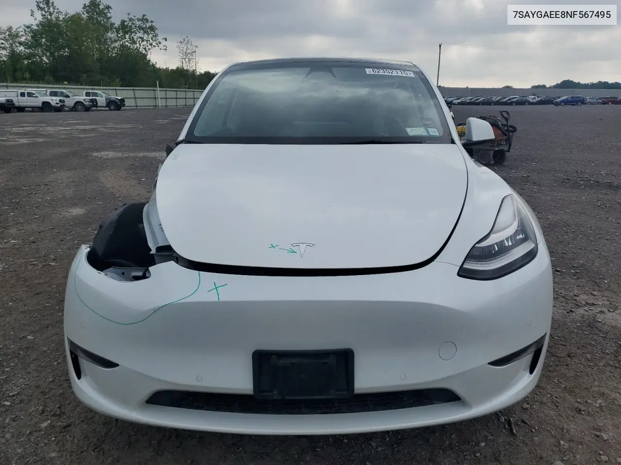 2022 Tesla Model Y VIN: 7SAYGAEE8NF567495 Lot: 62352115