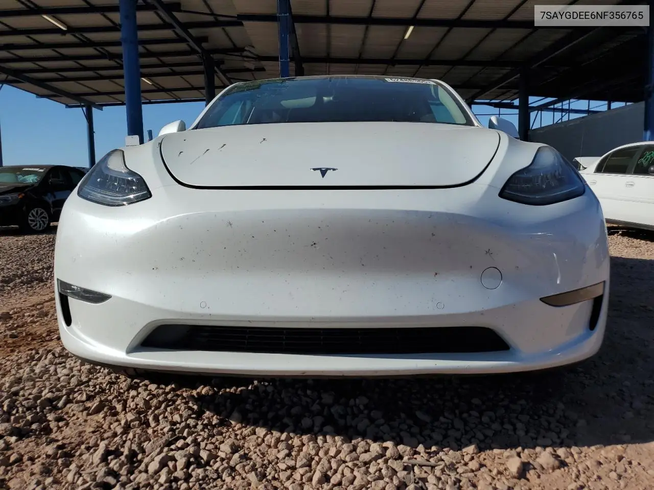 2022 Tesla Model Y VIN: 7SAYGDEE6NF356765 Lot: 62488365