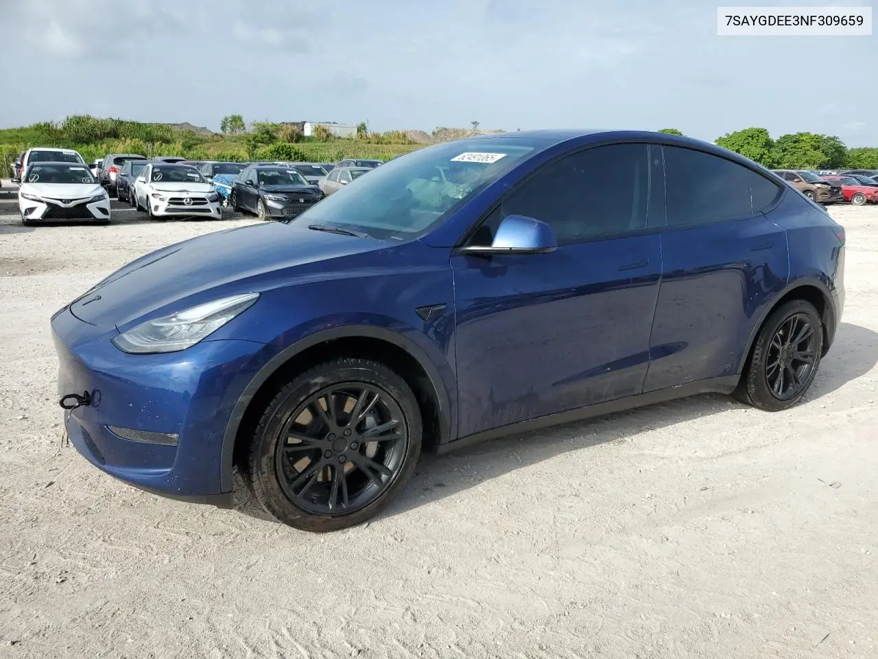2022 Tesla Model Y VIN: 7SAYGDEE3NF309659 Lot: 62491065