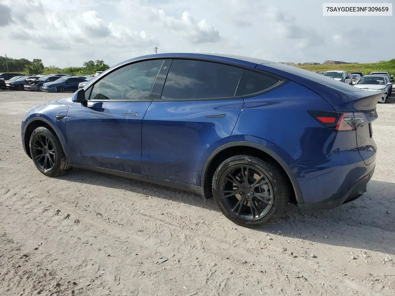 2022 Tesla Model Y VIN: 7SAYGDEE3NF309659 Lot: 62491065