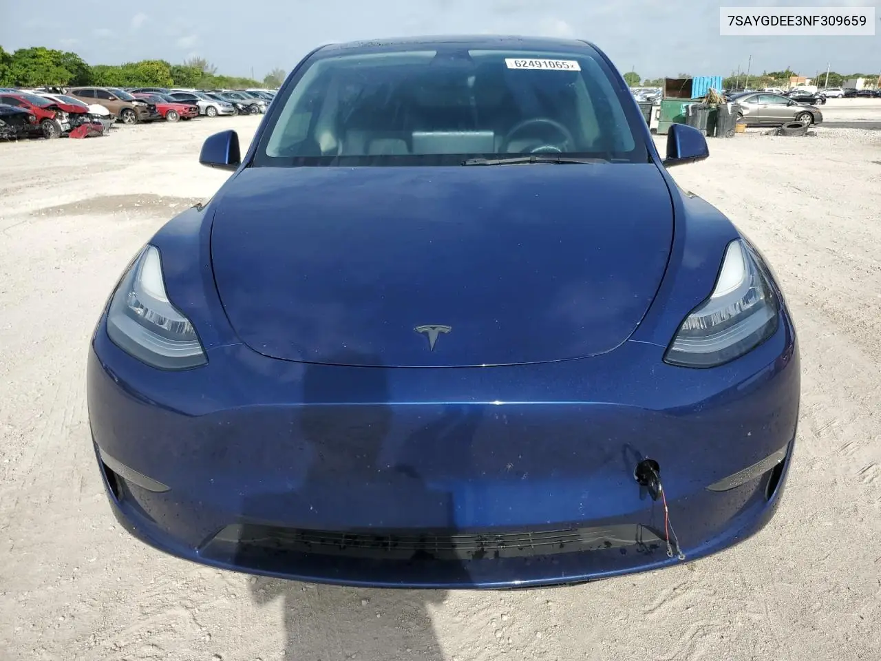 2022 Tesla Model Y VIN: 7SAYGDEE3NF309659 Lot: 62491065