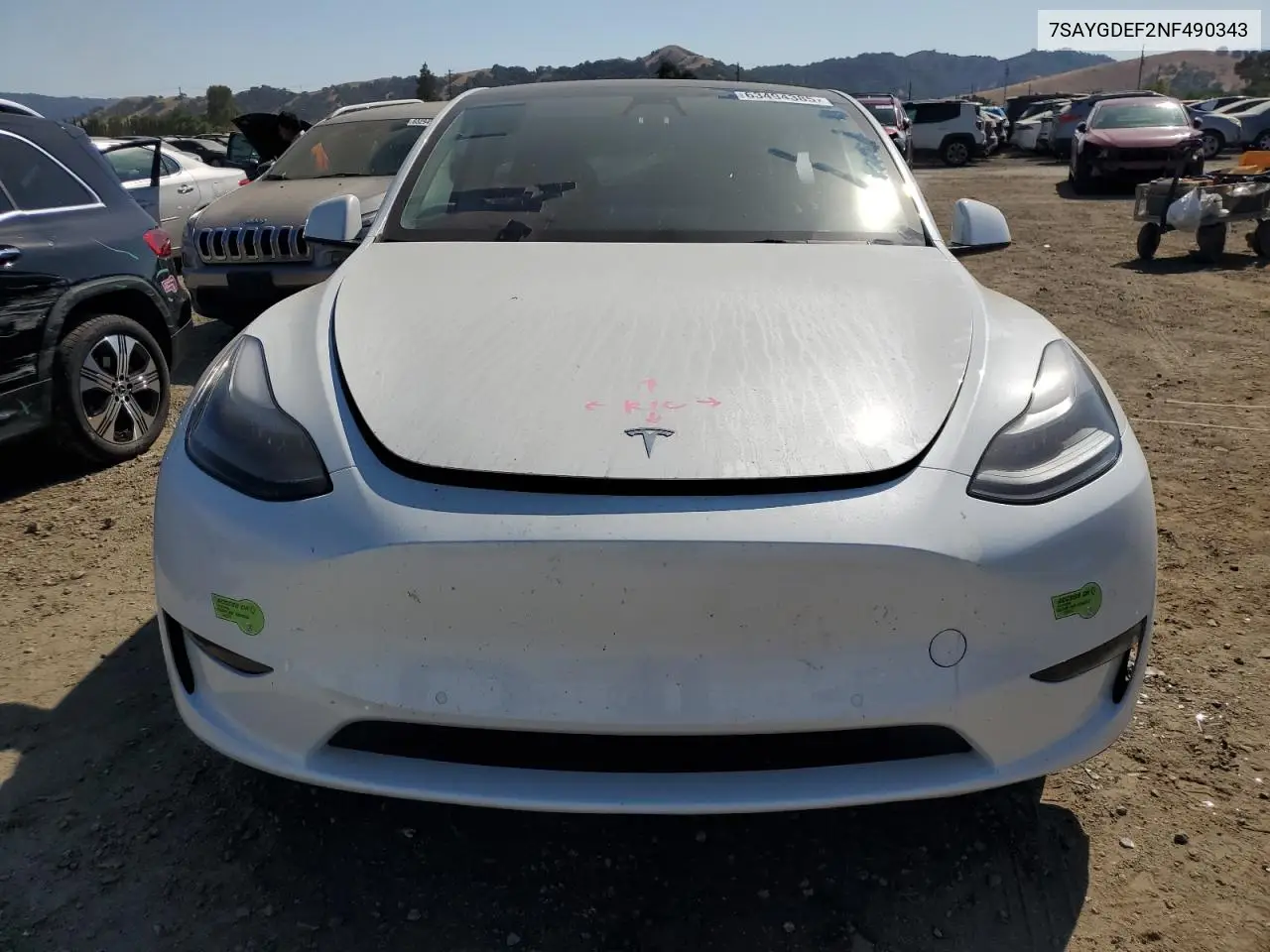 2022 Tesla Model Y VIN: 7SAYGDEF2NF490343 Lot: 63494385