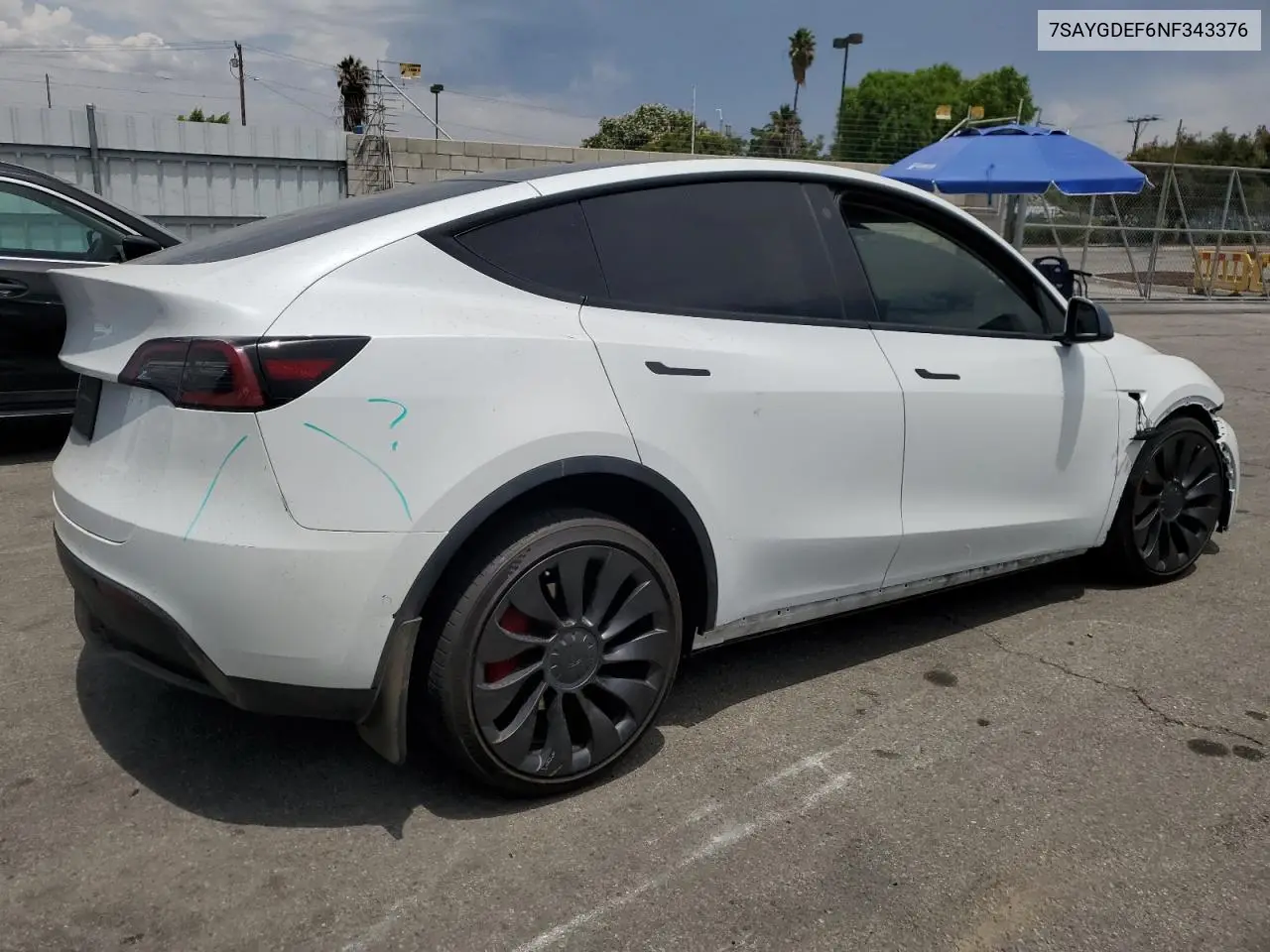 2022 Tesla Model Y VIN: 7SAYGDEF6NF343376 Lot: 64690145