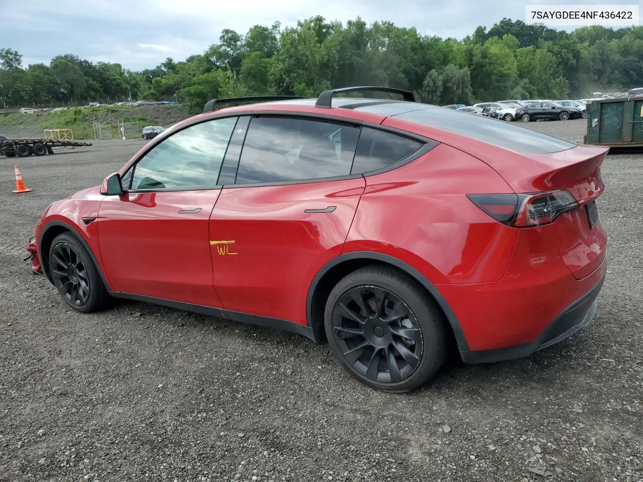 2022 Tesla Model Y VIN: 7SAYGDEE4NF436422 Lot: 65167465