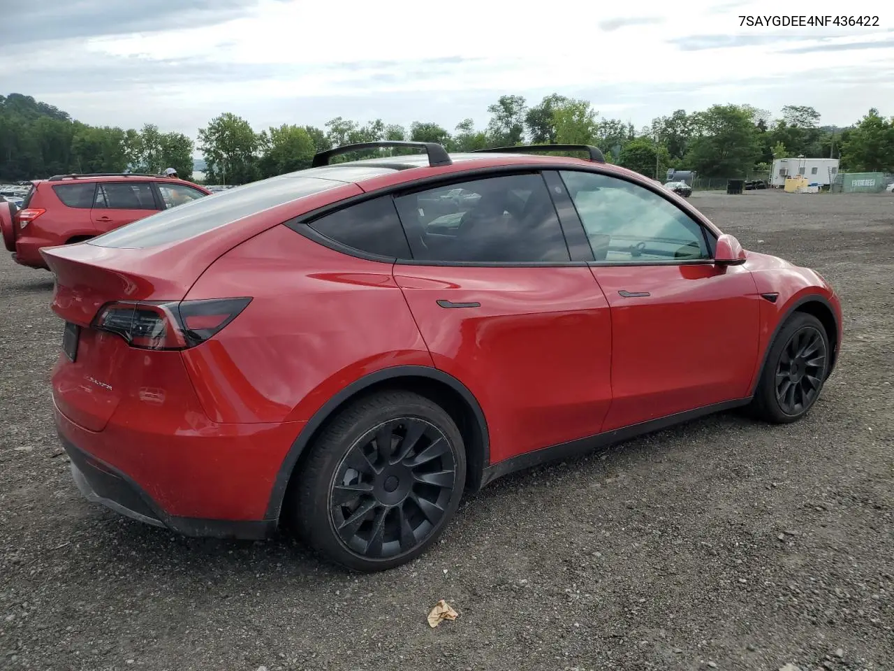 2022 Tesla Model Y VIN: 7SAYGDEE4NF436422 Lot: 65167465