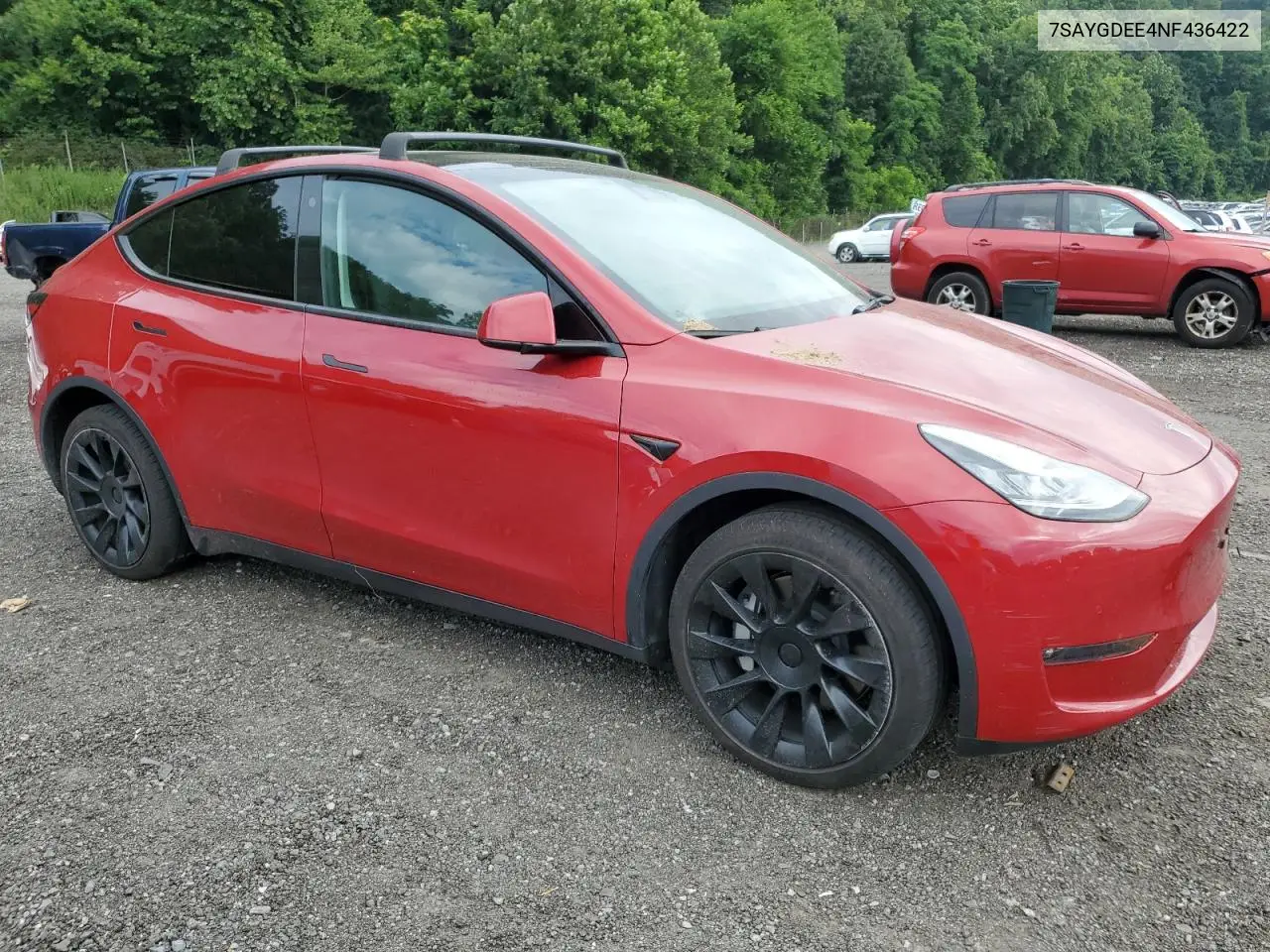 2022 Tesla Model Y VIN: 7SAYGDEE4NF436422 Lot: 65167465