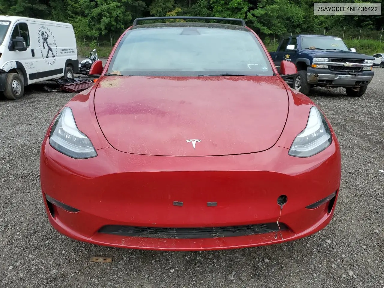2022 Tesla Model Y VIN: 7SAYGDEE4NF436422 Lot: 65167465