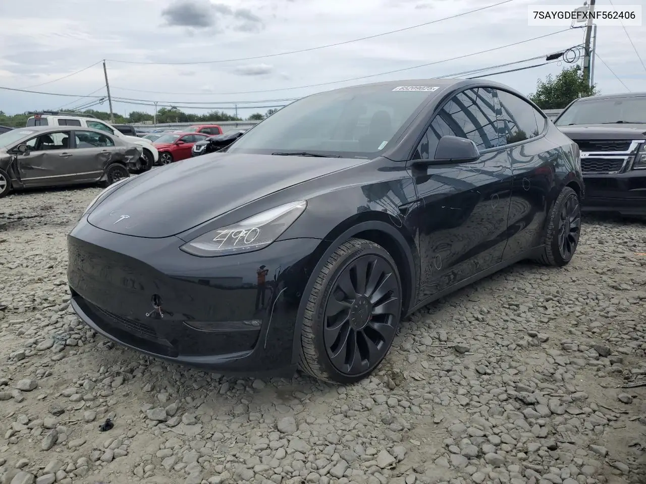 2022 Tesla Model Y VIN: 7SAYGDEFXNF562406 Lot: 65209025
