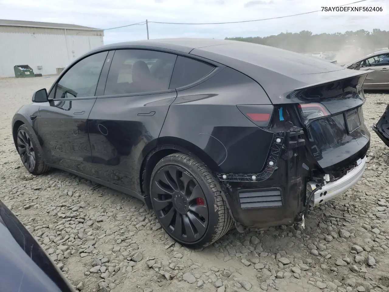 2022 Tesla Model Y VIN: 7SAYGDEFXNF562406 Lot: 65209025