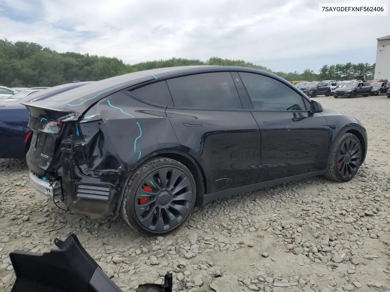 2022 Tesla Model Y VIN: 7SAYGDEFXNF562406 Lot: 65209025