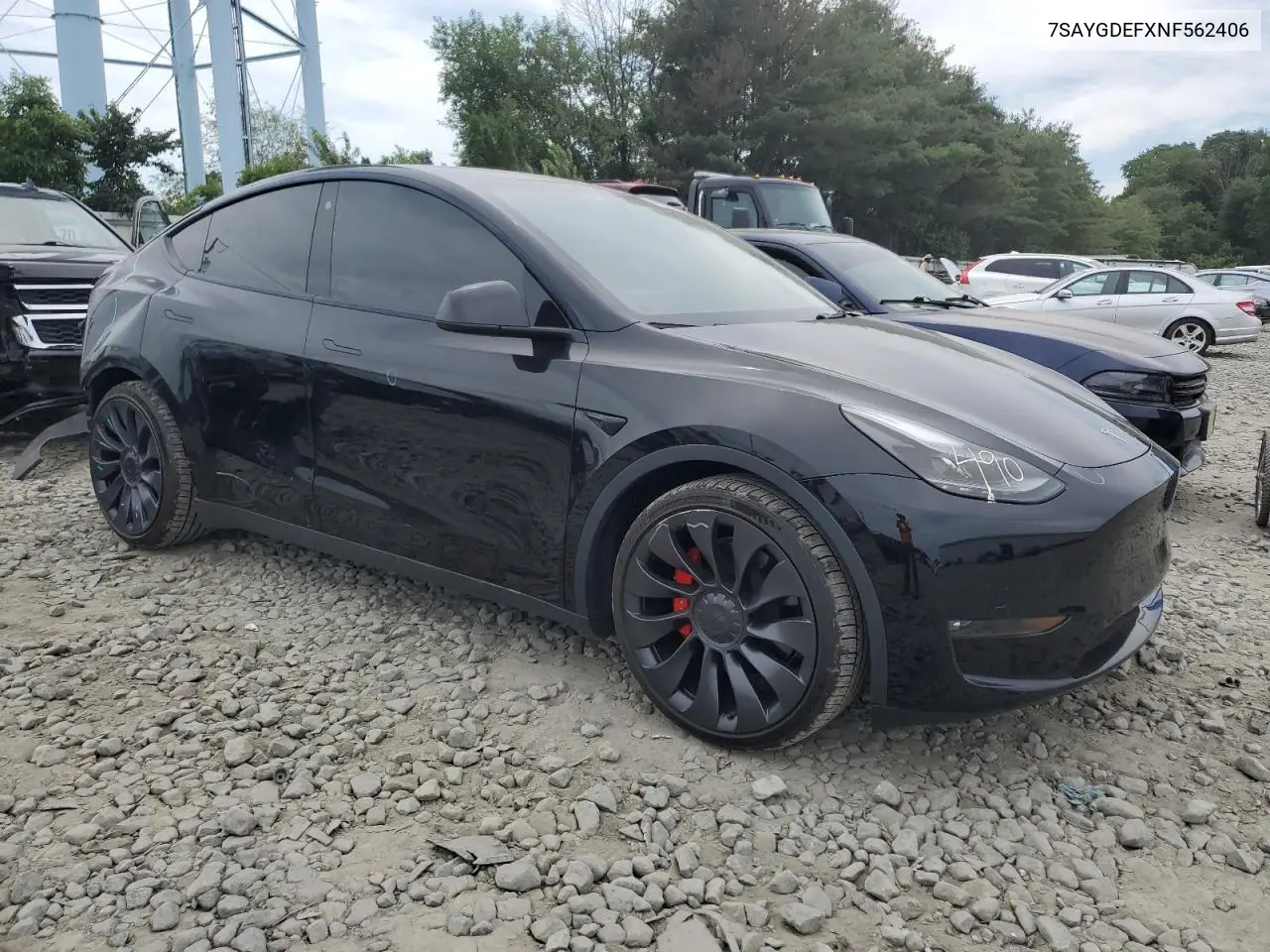 2022 Tesla Model Y VIN: 7SAYGDEFXNF562406 Lot: 65209025