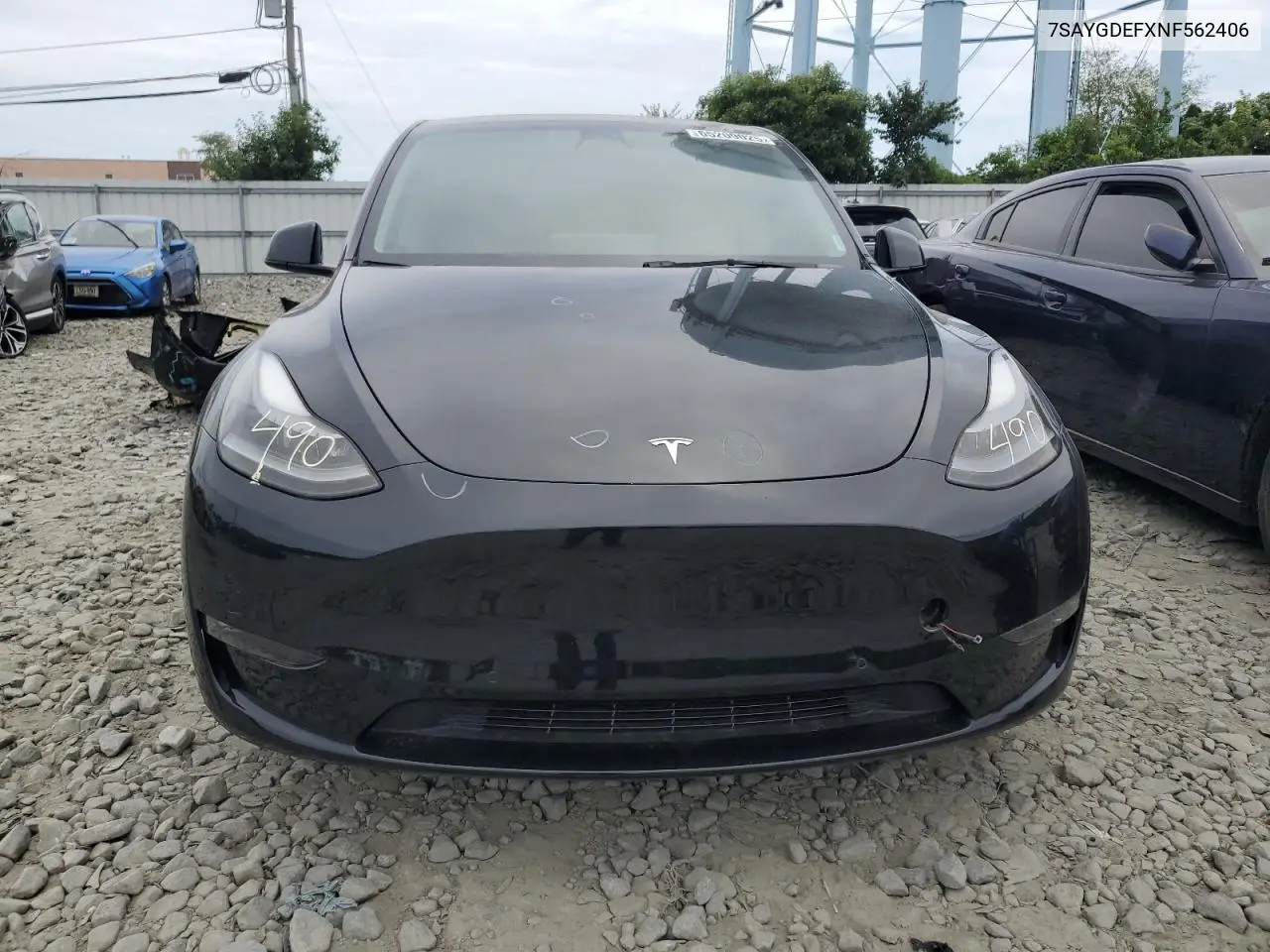 2022 Tesla Model Y VIN: 7SAYGDEFXNF562406 Lot: 65209025