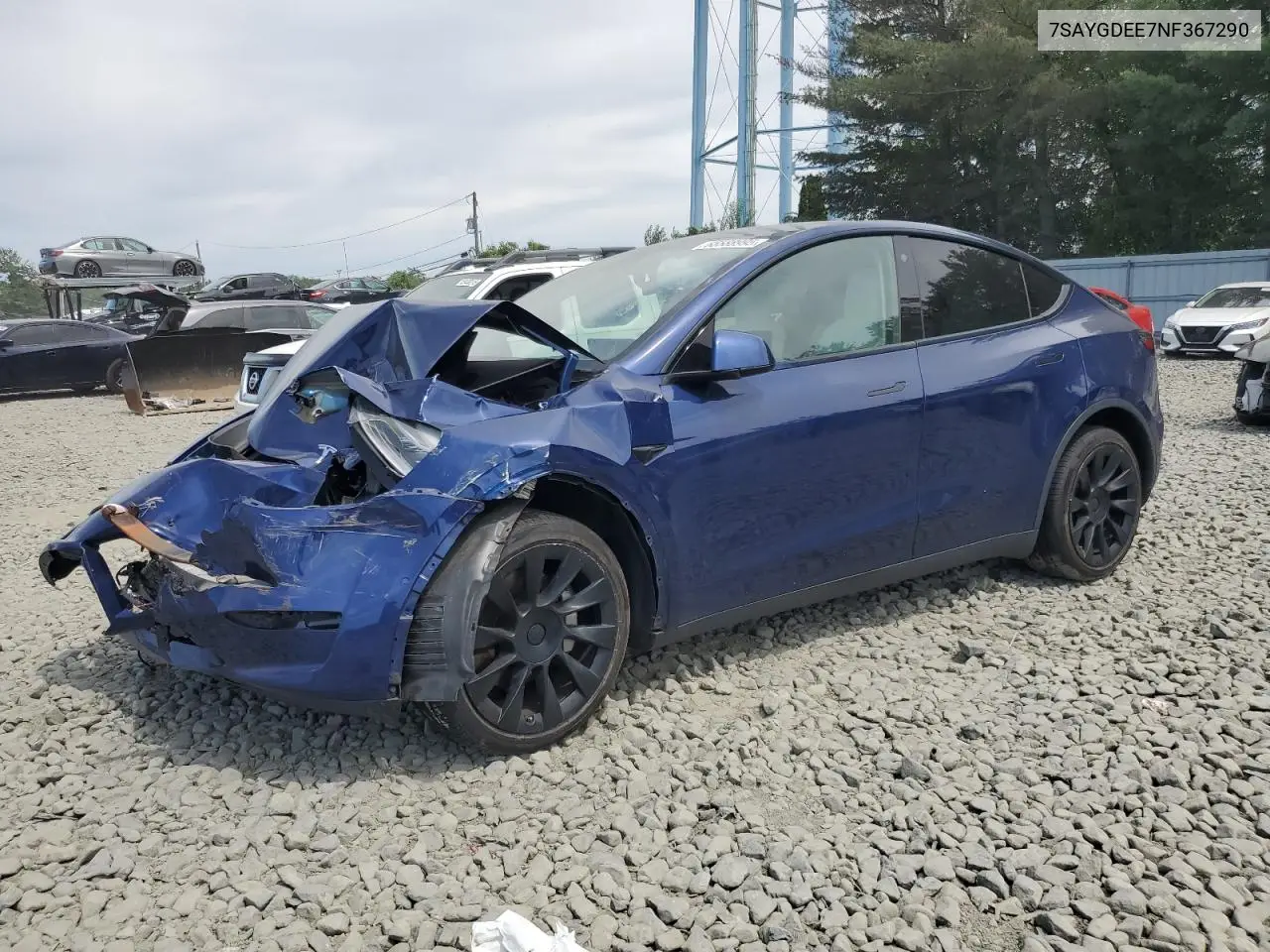 2022 Tesla Model Y VIN: 7SAYGDEE7NF367290 Lot: 65588995