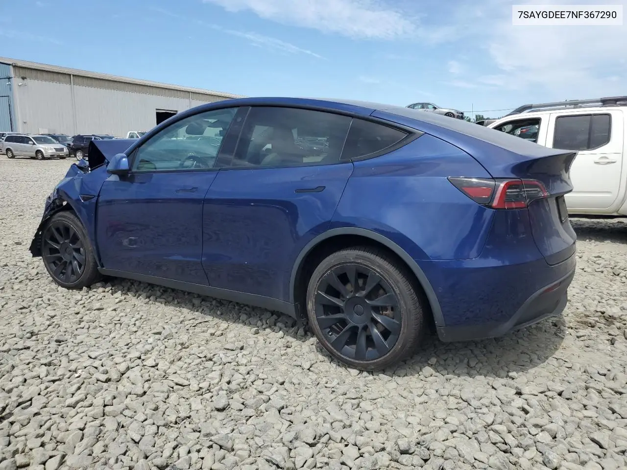 2022 Tesla Model Y VIN: 7SAYGDEE7NF367290 Lot: 65588995