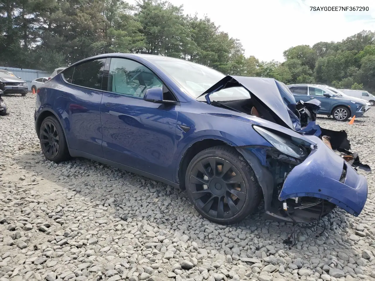2022 Tesla Model Y VIN: 7SAYGDEE7NF367290 Lot: 65588995
