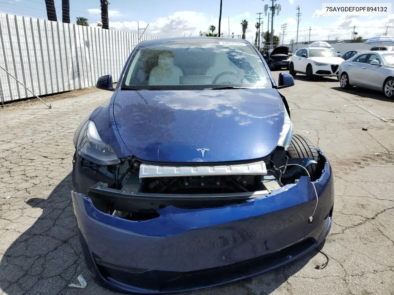 2023 Tesla Model Y VIN: 7SAYGDEF0PF894132 Lot: 48062595