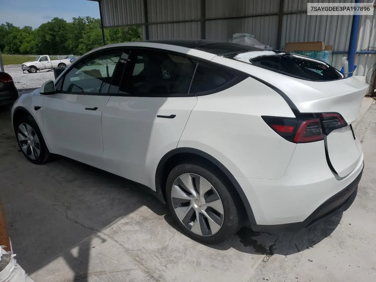 2023 Tesla Model Y VIN: 7SAYGDEE3PA197896 Lot: 54794515