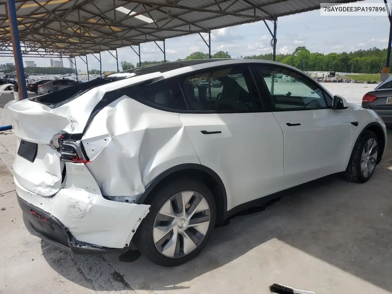 2023 Tesla Model Y VIN: 7SAYGDEE3PA197896 Lot: 54794515