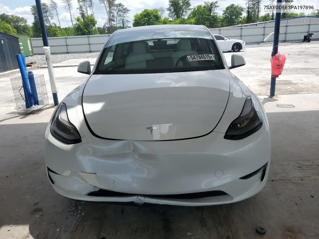 2023 Tesla Model Y VIN: 7SAYGDEE3PA197896 Lot: 54794515