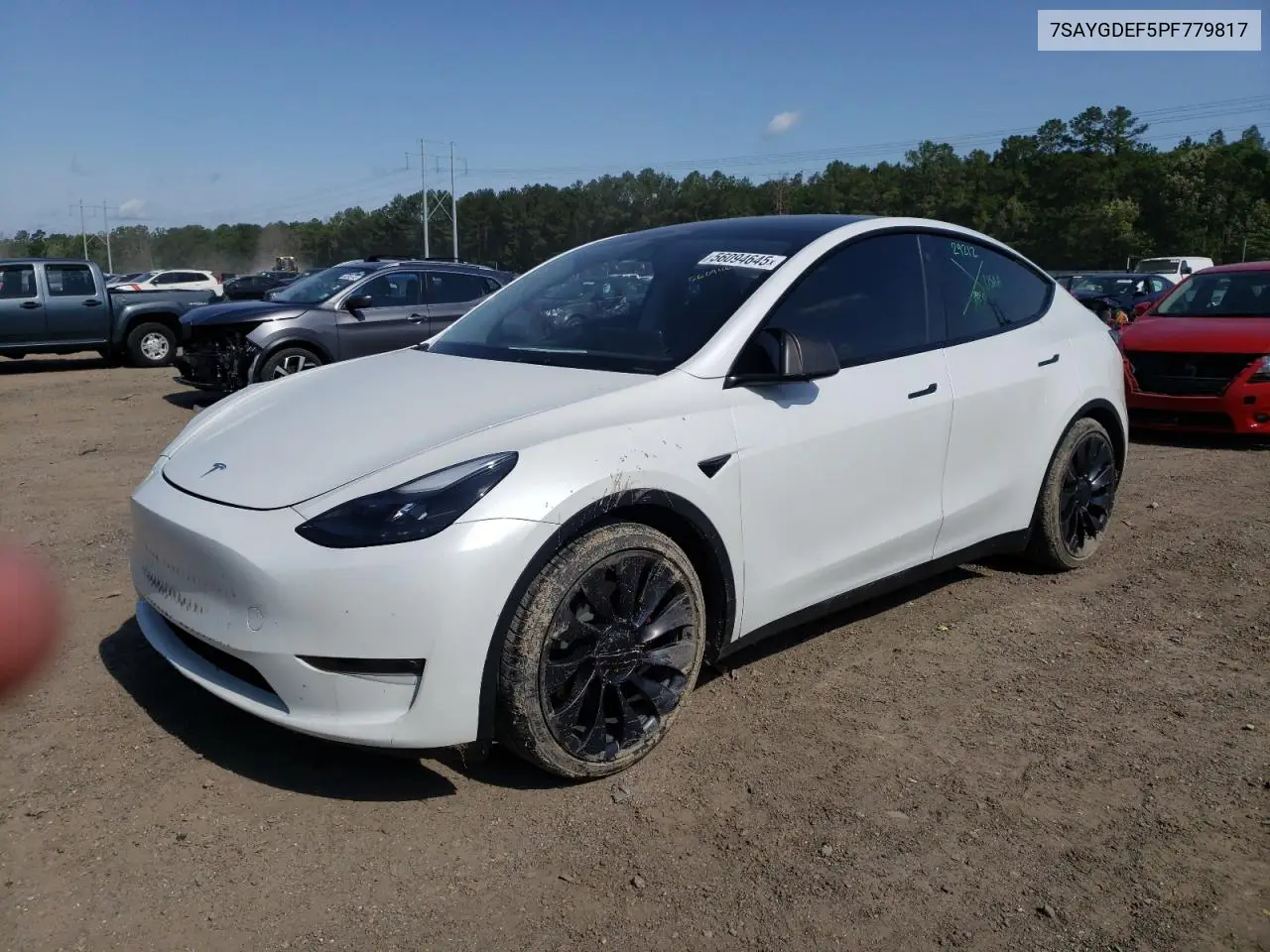 2023 Tesla Model Y VIN: 7SAYGDEF5PF779817 Lot: 56094645