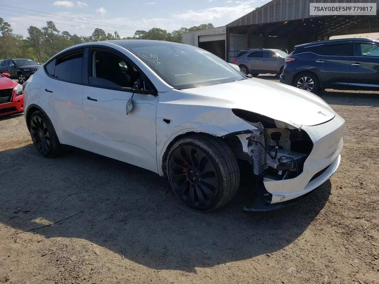 2023 Tesla Model Y VIN: 7SAYGDEF5PF779817 Lot: 56094645