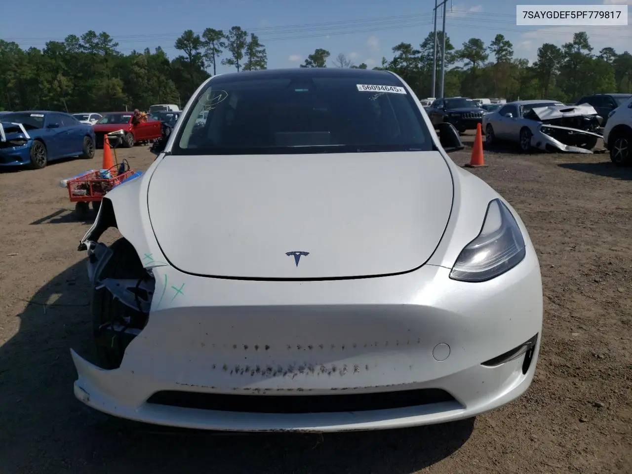 2023 Tesla Model Y VIN: 7SAYGDEF5PF779817 Lot: 56094645
