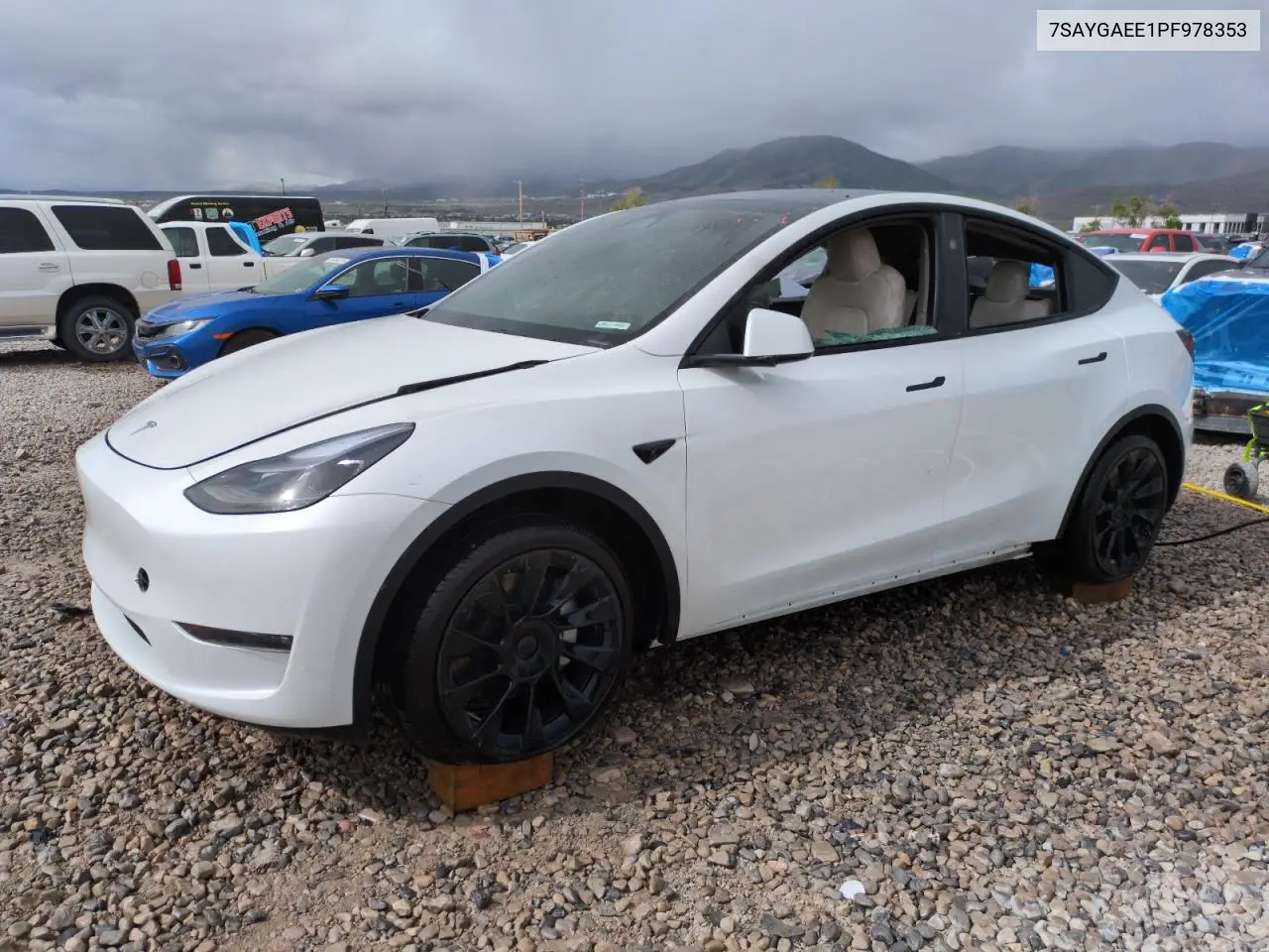 2023 Tesla Model Y VIN: 7SAYGAEE1PF978353 Lot: 56322305