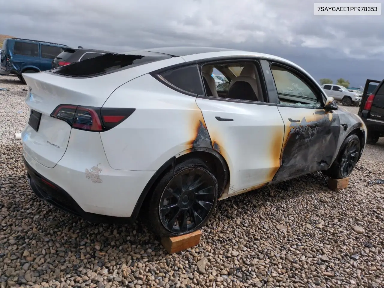 2023 Tesla Model Y VIN: 7SAYGAEE1PF978353 Lot: 56322305