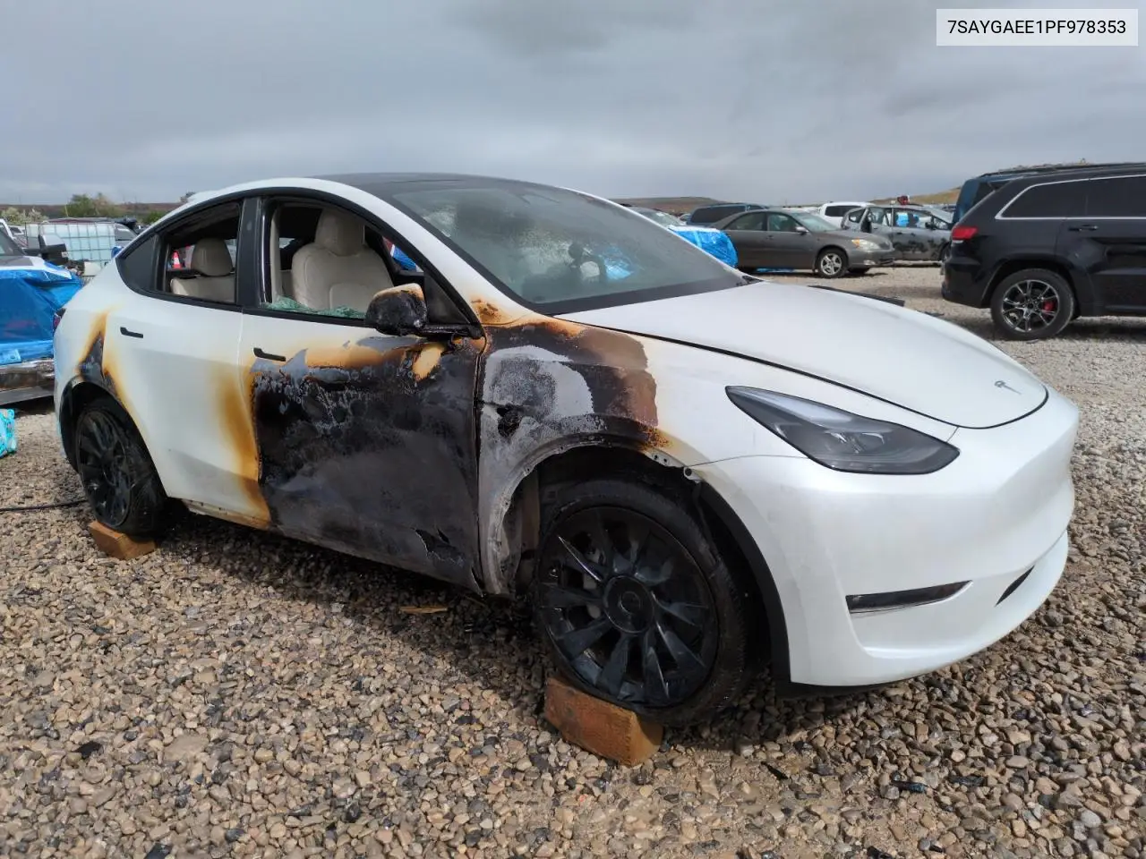 2023 Tesla Model Y VIN: 7SAYGAEE1PF978353 Lot: 56322305